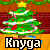 Knyga